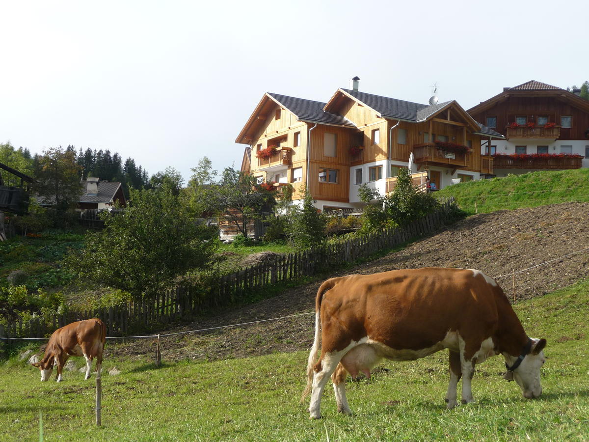 Apartments Rit Wengen Exterior foto